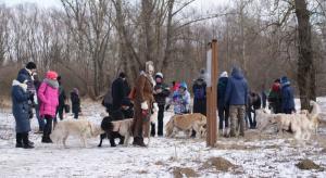 Plaża Zawady luty 2018