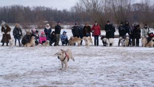 Plaża Zawady luty 2018