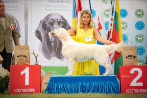 Gryff Częstochowa 2023