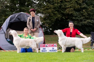 Mafia Gryff Lipno 2303