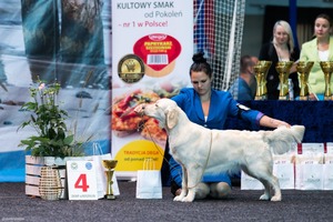 Szajba Kołobrzeg 2022