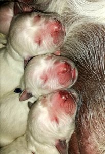 pierwsze chwile na świecie