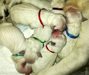 pierwsze chwile na świecie