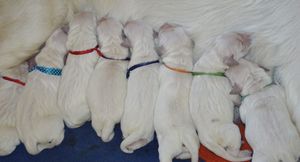 pierwsze chwile na świecie