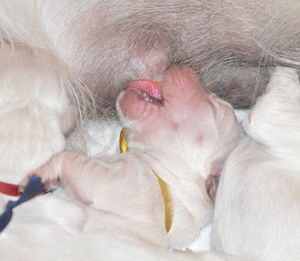 pierwsze chwile na świecie