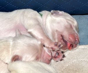 pierwsze chwile na świecie