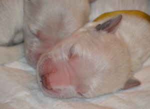 pierwsze chwile na świecie