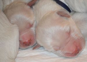 pierwsze chwile na świecie