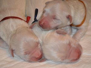 pierwsze chwile na świecie