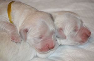 pierwsze chwile na świecie