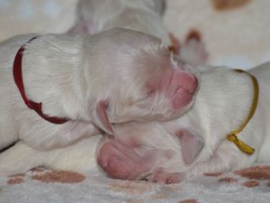 pierwsze chwile na świecie