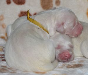 pierwsze chwile na świecie