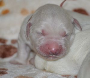 pierwsze chwile na świecie