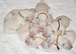 pierwsze chwile na świecie