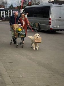 Oreo w reklamie Biedronki