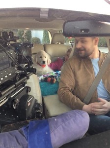 Oreo w reklamie Mbanku