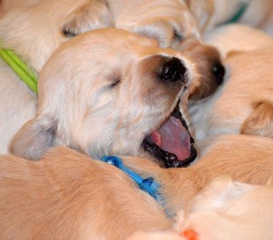 dwa tygodnie -zerkamy na świat