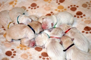 pierwsze chwile na świecie