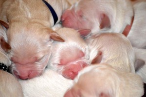 pierwsze chwile na świecie