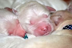 pierwsze chwile na świecie