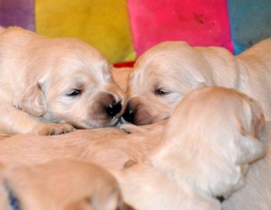 dwa tygodnie -zerkamy na świat