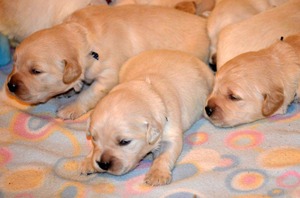 dwa tygodnie -zerkamy na świat