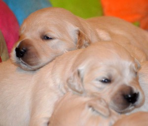 dwa tygodnie -zerkamy na świat