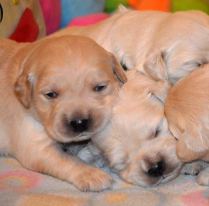 dwa tygodnie -zerkamy na świat