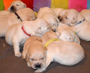 dwa tygodnie -zerkamy na świat