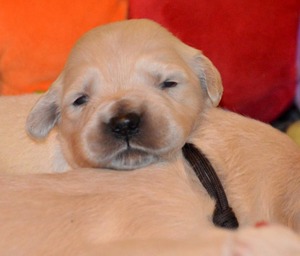 dwa tygodnie -zerkamy na świat