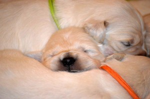 dwa tygodnie -zerkamy na świat