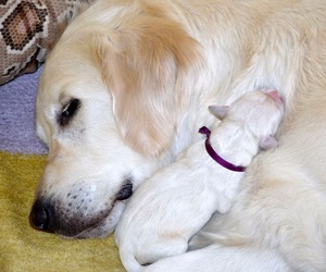 pierwsze chwile na świecie