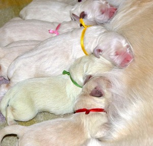 pierwsze chwile na świecie