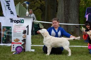 BOB baby Świerklaniec 2019